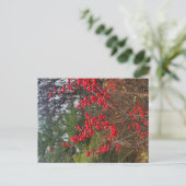 Winterbeere Postkarte (Stehend Vorderseite)
