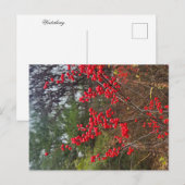 Winterbeere Postkarte (Vorne/Hinten)