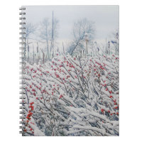 Winterbeere und -kattails
