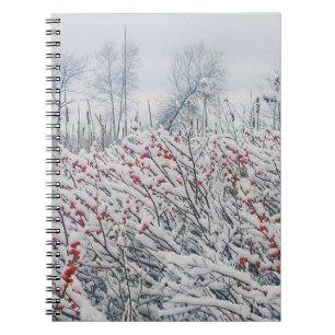 Winterbeere und -kattails notizblock