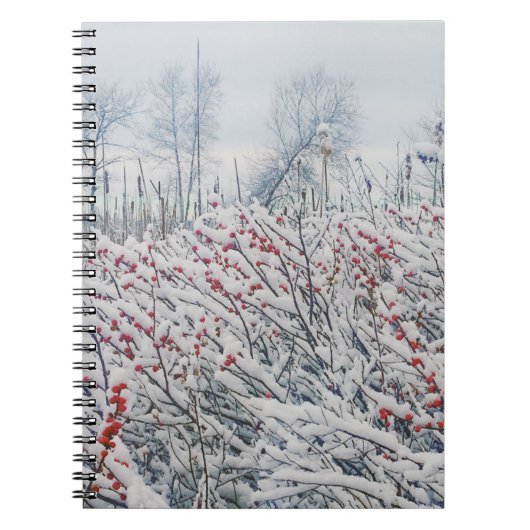 Winterbeere und -kattails notizblock (Vorderseite)