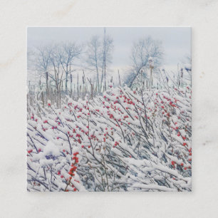 Winterbeere und Rohrkolben Quadratische Visitenkarte