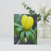 Winterbeiziger Postkarte (Stehend Vorderseite)