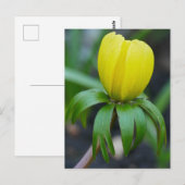 Winterbeiziger Postkarte (Vorne/Hinten)
