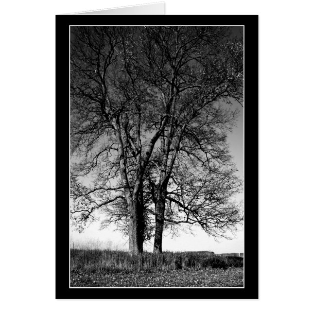 Winterbereit (Vorne)