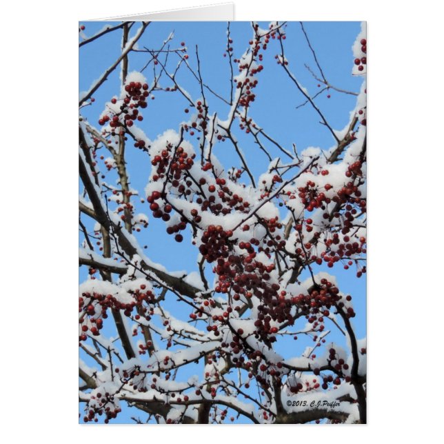 "WinterBerries" (Vorne)