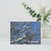 Winterberries Postkarte (Stehend Vorderseite)