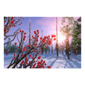 Winterberry in Ice Foto Print (Vorne)