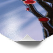Winterberry in Ice Foto Print (Ecke)
