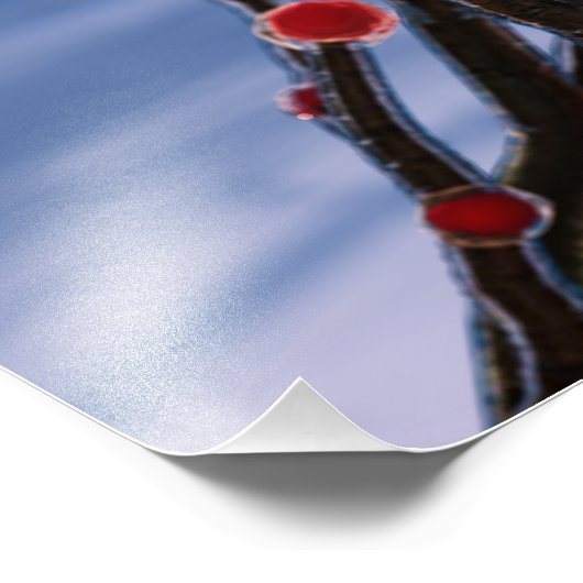Winterberry in Ice Foto Print (Ecke)
