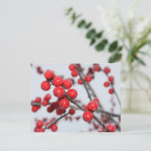 Winterberry Postcard Postkarte (Stehend Vorderseite)