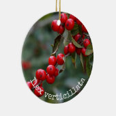 Winterberry-Stechpalme botanisch Keramik Ornament (Rechts)