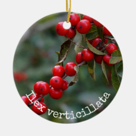 Winterberry-Stechpalme botanisch Keramik Ornament