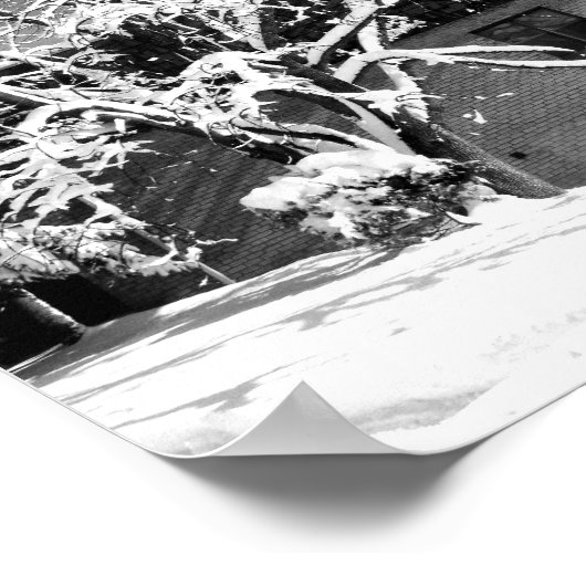 Winterblase B+W Poster (Ecke)