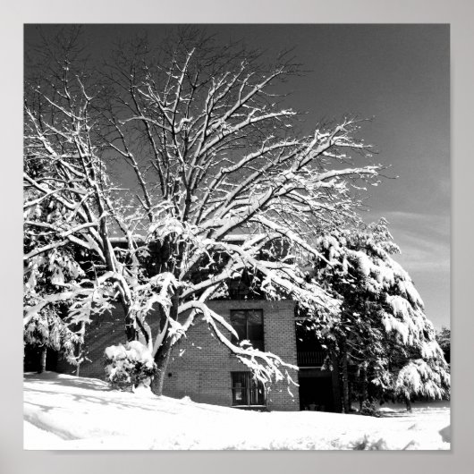 Winterblase B+W Poster (Vorne)