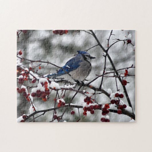 Winterblauer Häher Puzzle (Horizontal)