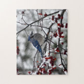 Winterblauer Häher Puzzle (Vertikal)