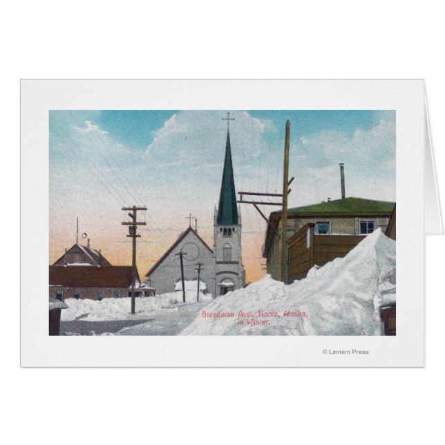 Winterblick auf die Steadman Avenue Covered im Sch (Vorderseite (Horizontal))