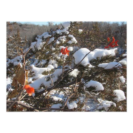 "Winterblüten" Fotodruck (Vorne)