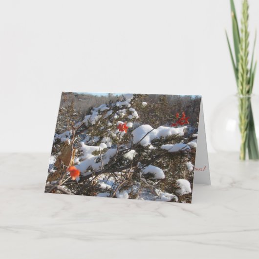 "Winterblüten" Weihnachtskarte Karte (Vorderseite)