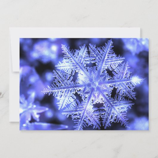 Winterborn Flat Christmas Card Feiertagskarte (Vorderseite)
