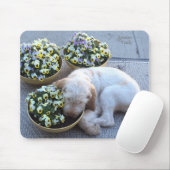 Winterborn Spinone ~ Teddybär ~ Schlafen w/Pansies Mousepad (Mit Mouse)