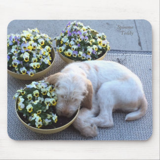 Winterborn Spinone ~ Teddybär ~ Schlafen w/Pansies Mousepad