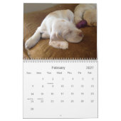 Winterborn Spinone ~ verbesserte ~ Kalender (Feb 2027)