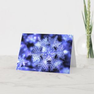 Winterborn Weihnachtskarte Feiertagskarte