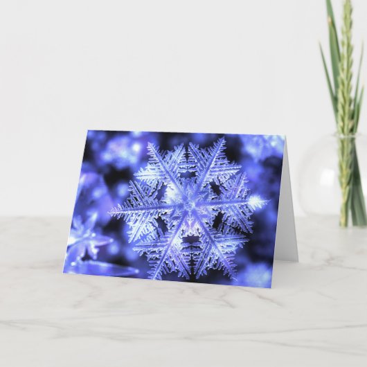 Winterborn Weihnachtskarte Feiertagskarte (Vorderseite)