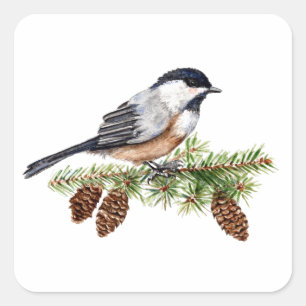 WinterChickadee Quadratischer Aufkleber
