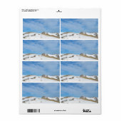 Winterdünen-Landschaft (Vorne)