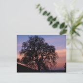 Wintereiche bei Sonnenuntergang Postkarte (Stehend Vorderseite)