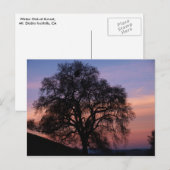 Wintereiche bei Sonnenuntergang Postkarte (Vorne/Hinten)