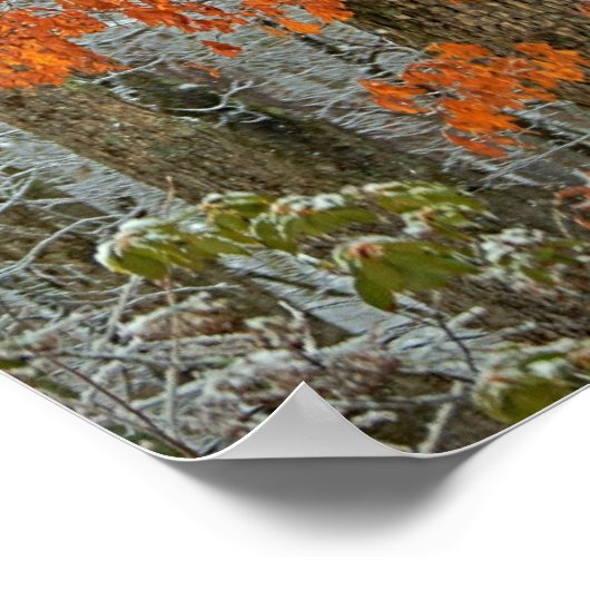 Wintereiche Poster (Ecke)