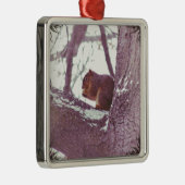 Wintereichhörnchen Silbernes Ornament (Rechts)