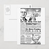 Wintereier Postkarte (Vorne/Hinten)