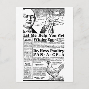 Wintereier Postkarte