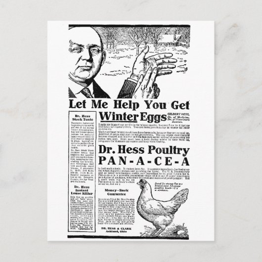 Wintereier Postkarte (Vorderseite)