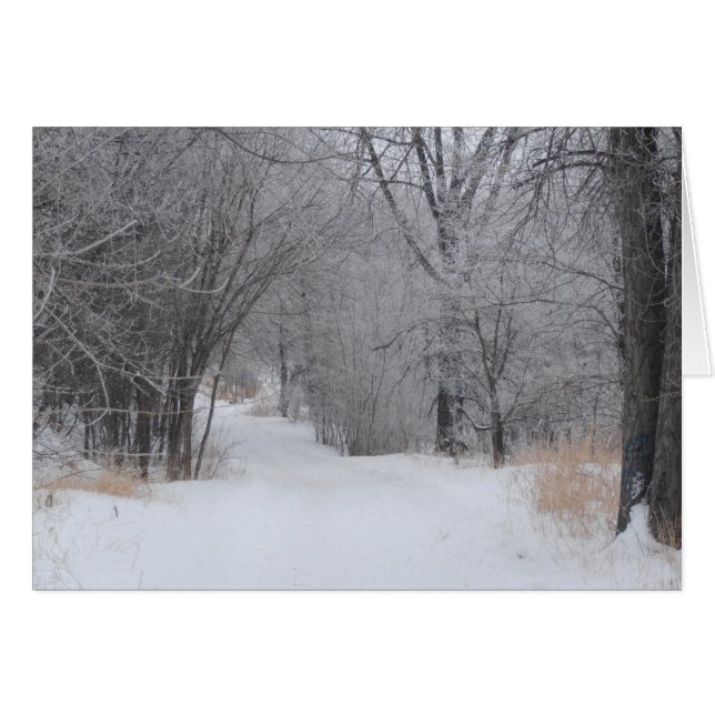 Wintereinsamkeit (Vorderseite (Horizontal))