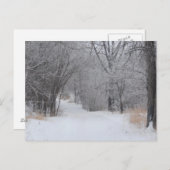 Wintereinsamkeit Postkarte (Vorne/Hinten)
