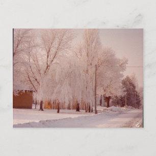 Wintereis-Postkarte Postkarte