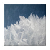 Wintereiskristalle Fliese (Vorderseite)