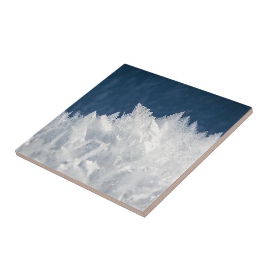 Wintereiskristalle Fliese (Seite)