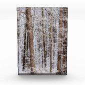 Wintereissturm im Wald Fotoblock (Vorderseite)