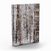 Wintereissturm im Wald Fotoblock (Links)
