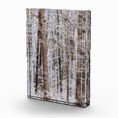 Wintereissturm im Wald Fotoblock (Rechts)