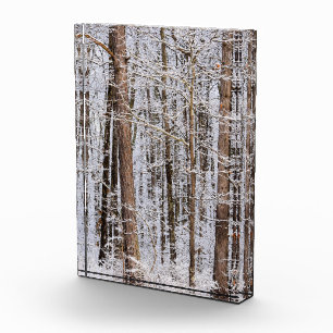 Wintereissturm im Wald Fotoblock