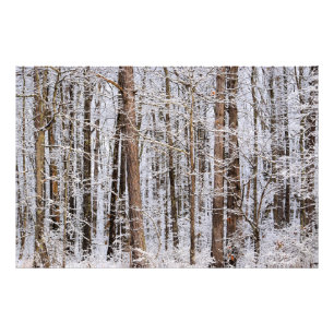 Wintereissturm im Wald Fotodruck
