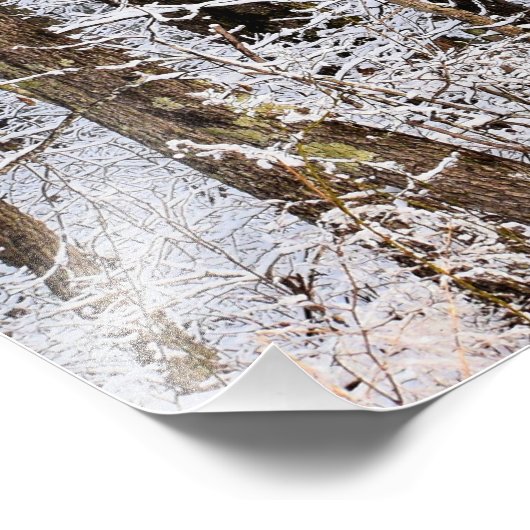 Wintereissturm im Wald Fotodruck (Ecke)